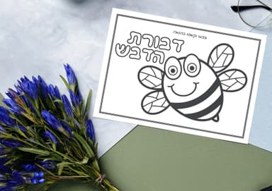 kit image collection