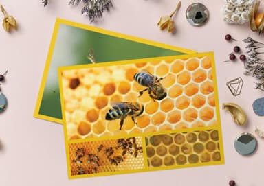 kit image collection