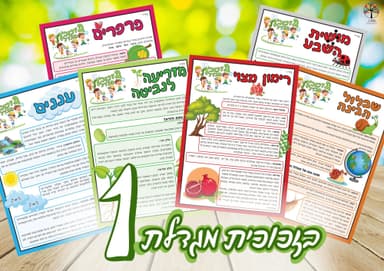 kit image collection