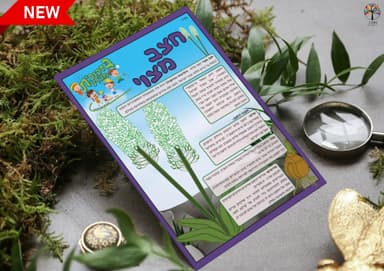 kit image collection