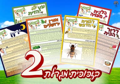 kit image collection