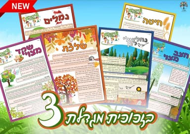 kit image collection