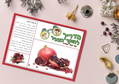 kit image collection