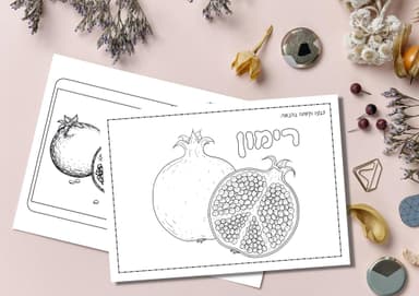 kit image collection