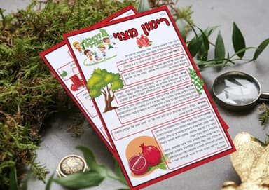 kit image collection