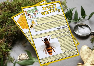 kit image collection