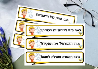 kit image collection